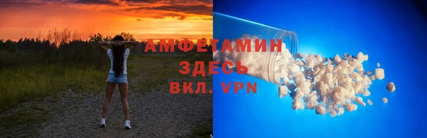 молекула духа Грязовец