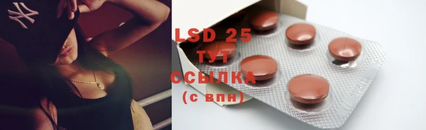 ECSTASY Покачи