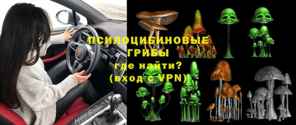 ECSTASY Покачи