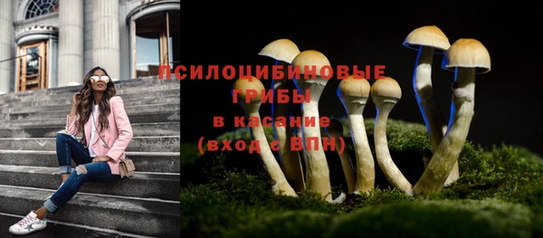 прущие крисы Покровск