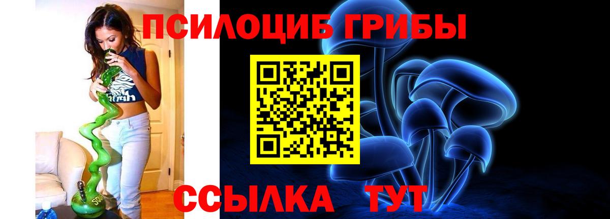 Когалым  Псилоцибиновые грибы GOLDEN TEACHER  Вход с VPN  Псилоцибиновые грибы прущие грибы 