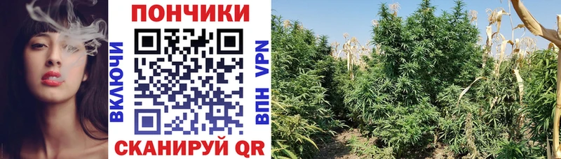 наркотики  Когалым  МЕГА сайт  МАРИХУАНА Ganja 